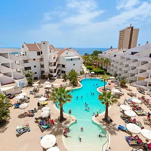 Paloma Los Cristianos